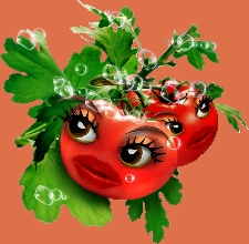 Tammy and Thomasina, the Tomato Twins(tm)